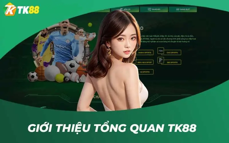 Vài Nét Về Nhà Cái Tk88 Casino