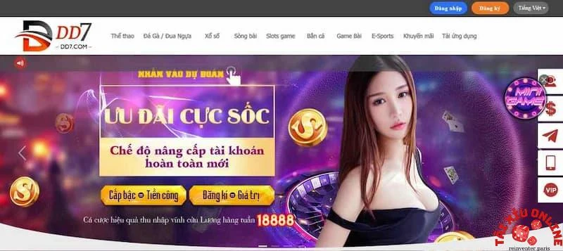 DD7 dễ dàng tham gia đặt cược