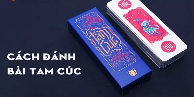 Những Điều Cần Biết Về Cách Chơi Bài Tam Cúc Cho Tân Thủ