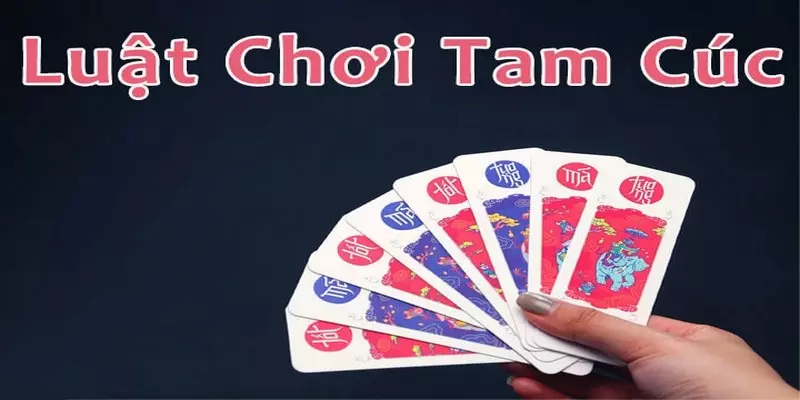 Cách chơi bài tam cúc đơn giản, dễ hiểu nhất