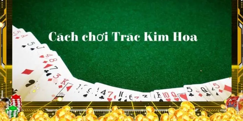 Tìm hiểu đôi nét về Trác Kim Hoa
